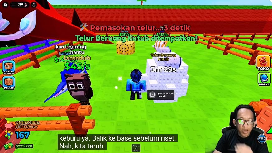 Polar Bear Egg timer at the player plot